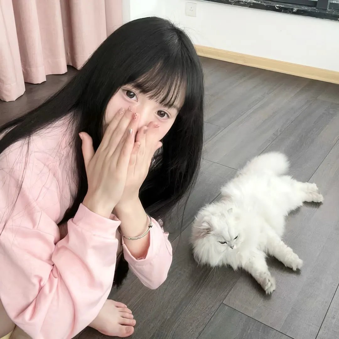 布莱切利四人组第一季